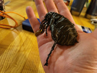 The Original Fleasa Flea