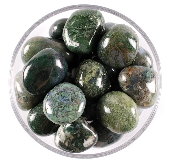 Moss Agate Tumble Stone